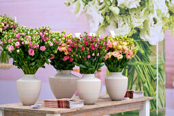 Sakata - Lisianthus series