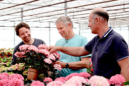 Hoko Breeding - Hoko Breeding team