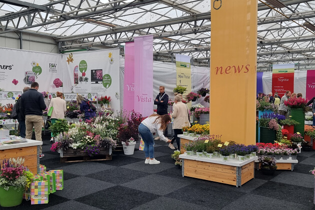 Kientzler Jungpflanzen - Kientzler presentation at Flowertrials