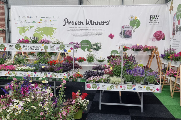 Kientzler Jungpflanzen - Proven Winners destination