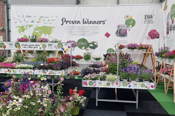 Kientzler Jungpflanzen - Proven Winners destination