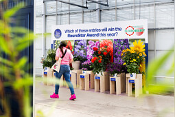 Syngenta Flowers - FleuroStar display