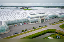 Anthura - Production location Anthura 