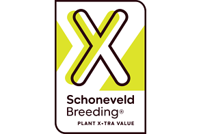 Schoneveld breeding