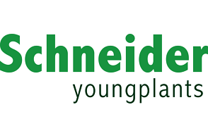Schneider youngplants