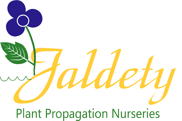 Jaldety Plant Propagation Nurseries