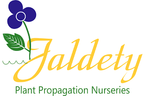 Jaldety Plant Propagation Nurseries