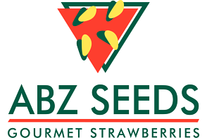 ABZ Seeds