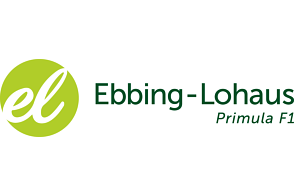 Ebbing-Lohaus