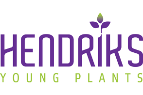 Hendriks Young Plants