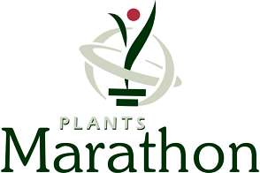 Marathon Plants
