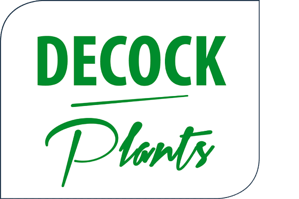 Decock Plants BVBA