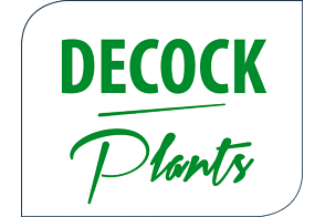 Decock Plants BVBA