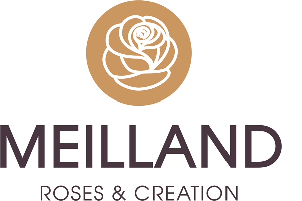 Meilland International