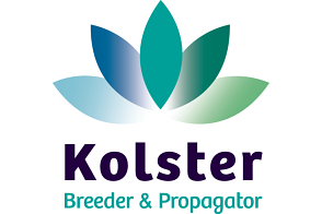 Kolster BV