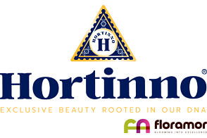 Hortinno by FlorAmor