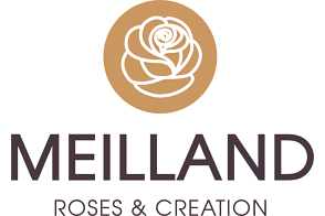 Meilland International